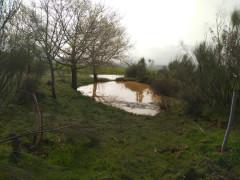 Verde y agua en la Transierra