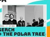 Serch Polar Tree Garage