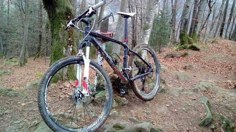 No la cambies, te mostramos como restaurar tu mountain bike