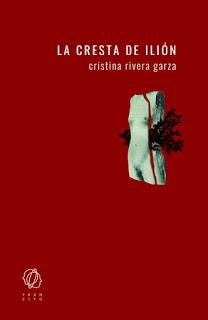 Cristina Rivera Garza o la novela como enigma