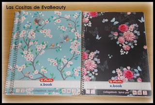 Cuadernos chollos Tedi papelería low cost