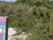 Ruta circular Fondo Vallgrassa Parc Garraf