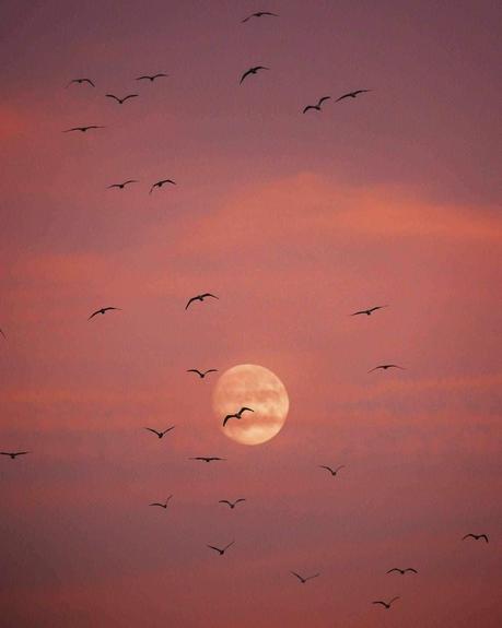 40 fotos para enamorarte de la ría de Muros y Noia