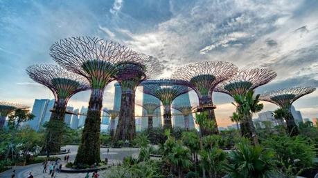 Singapur: el pequeño gigante Singapur: el pequeño gigante