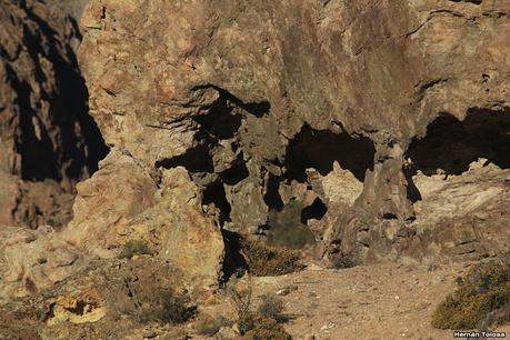 Piedra Parada (Navidad  2020)