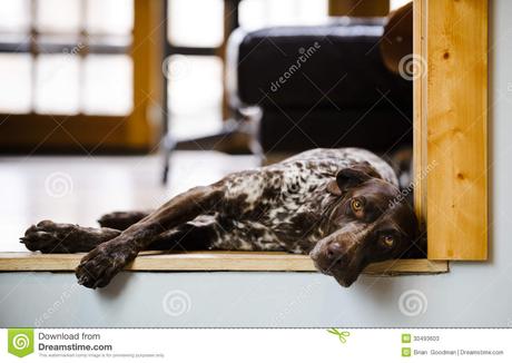 【亚博APP下载】戈贝尔16+13 威少低迷 雷霆客场87-96不敌爵士 【亚博APP下载】戈贝尔16+13 威少低迷 雷霆客场87-96不敌爵士