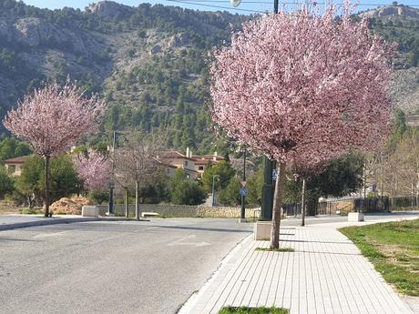 Primavera en Alcoy 2021