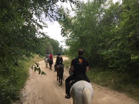 Planes y actividades con niños al aire libre