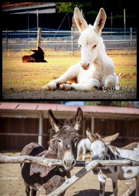Planes y actividades con niños al aire libre