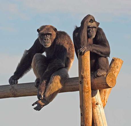 Planes y actividades con niños al aire libre