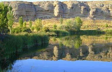Planes y actividades con niños al aire libre