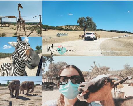 Planes y actividades con niños al aire libre