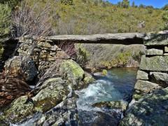 Modificación de la normativa del PN Sierra Norte de Guadalajara