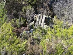 Modificación de la normativa del PN Sierra Norte de Guadalajara