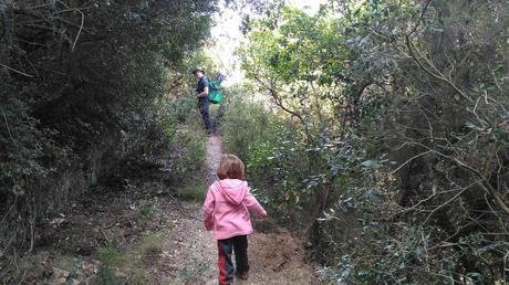 Les Planes - Font de Can Mallol - Baixador de Vallvidrera | Serra de Collserola Les Planes - Font de Can Mallol - Baixador de Vallvidrera | Serra de Collserola