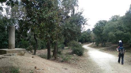 Les Planes - Font de Can Mallol - Baixador de Vallvidrera | Serra de Collserola Les Planes - Font de Can Mallol - Baixador de Vallvidrera | Serra de Collserola