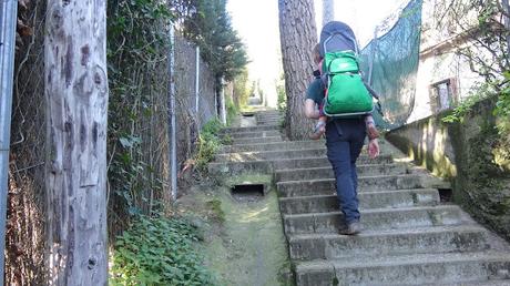 Les Planes - Font de Can Mallol - Baixador de Vallvidrera | Serra de Collserola Les Planes - Font de Can Mallol - Baixador de Vallvidrera | Serra de Collserola