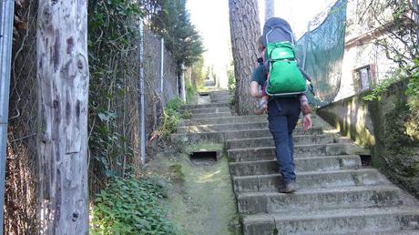 Les Planes - Font de Can Mallol - Baixador de Vallvidrera | Serra de Collserola