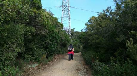 Mundet - Turó de Valldaura - Font de la Meca - Montbau | Serra de Collserola