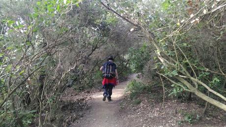 Mundet - Turó de Valldaura - Font de la Meca - Montbau | Serra de Collserola