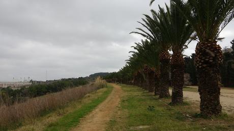 Ruta por los dos castillos de la montaña de Montjuïc | Barcelona