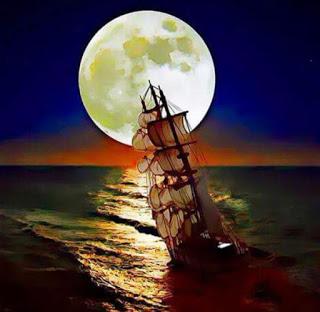 un océano lleno de contradicciones, el mundo del ser humano