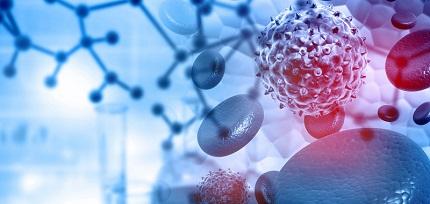 Deep learning y explicabilidad para el diseño de medicamentos