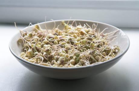 Qué son los germinados? UN plato lleno de salud y vida.
