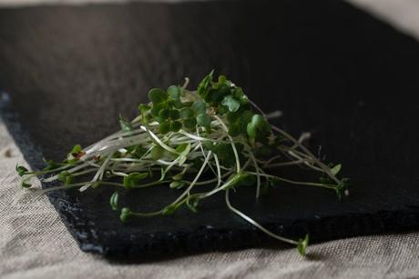 Beneficios de los germinados: tiernos, frescos y sabrosos!