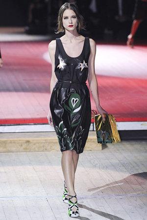 Miu Miu Spring 2011 Star and Floral Print  Dress Profile Photo