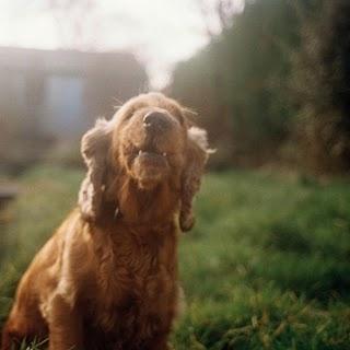 Vondelpark - NYC Stuff and NYC Bags EP (R&S; Records,2011)