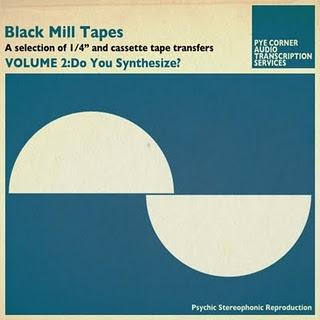 Pye Corner Audio Transcription Services : Black Mill Tapes Vol.2: Do You Synthesize? (2011)