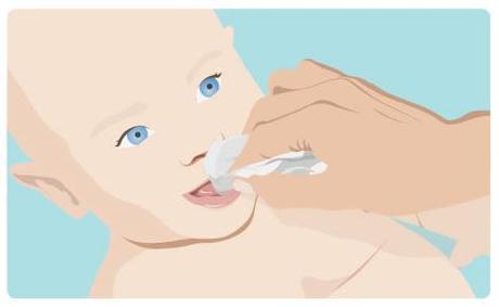 Es clave cuidar la higiene dental de los bebés