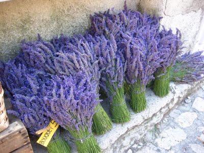 Aprovechar la poda de Lavanda