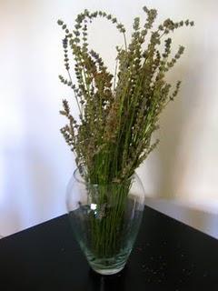 Aprovechar la poda de Lavanda