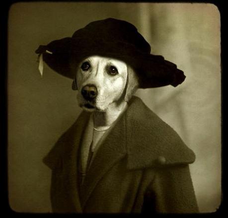 Lord Inglaterra , the inside story.