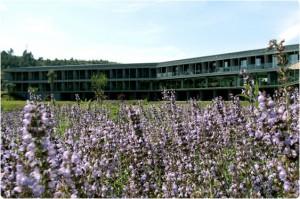 Món Sant Benet… tranquilidad medieval