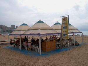 III Torneo de Ajedrez en la Biblioplaya 2011