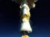 ¿Cuál sido bomba potente explotada?