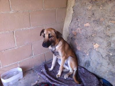 Mirad qué imagen. Lo dice todo ¿no? Abandonada... se la llevará la policía. (Cadiz)