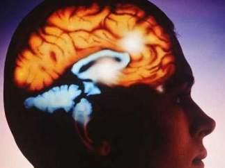 Ameba  comecerebros en  EE UU