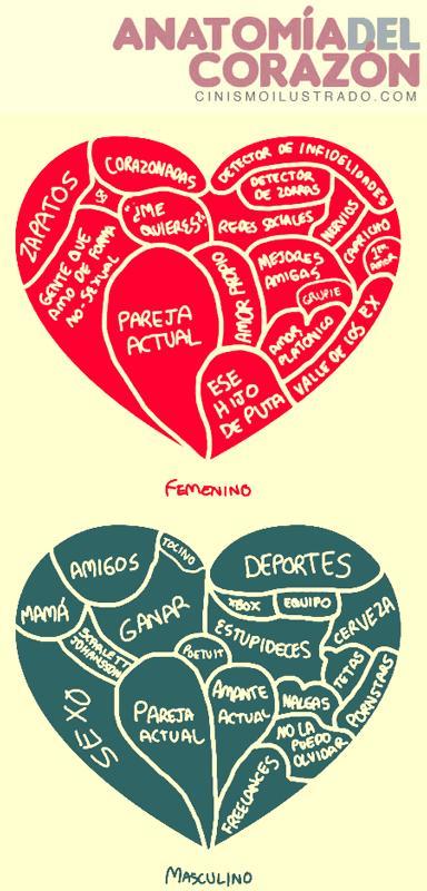 Diferencias entre hombres y mujeres