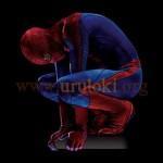20110818spiderman1