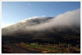 Jardín de Nubes, Fuerteventura