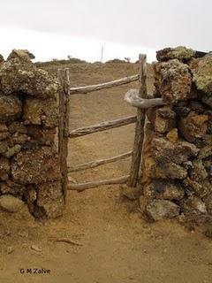 El baile (publicado en Diario de Avisos el 15/07/11)