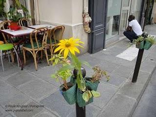 Pequeños Jardines en Postes, Paris
