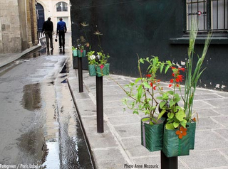 Pequeños Jardines en Postes, Paris