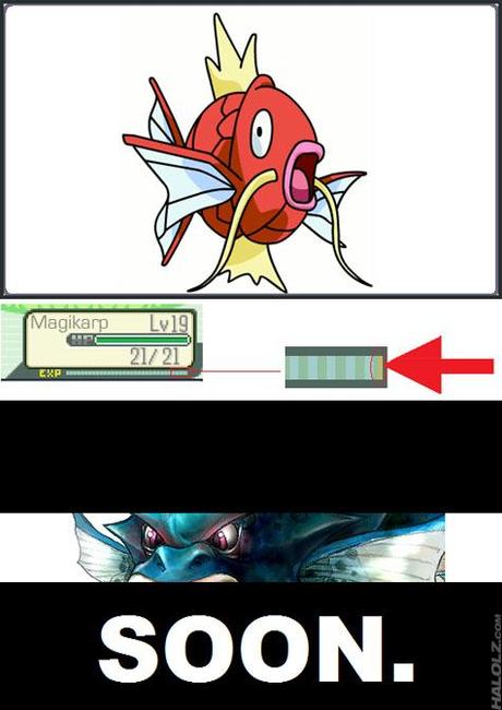 soon-magikarp-gyarados soon magikarp gyarados El Telesketch (53)