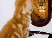 Percepción nosotros.