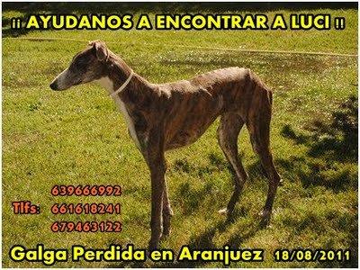 Luci se ha perdido en Aranjuez